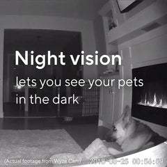 (Refurbished) Wyze Cam v2