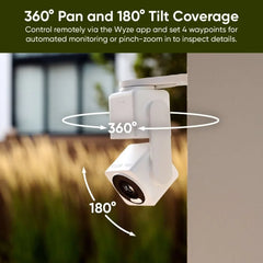 Small Business Monitoring Plus